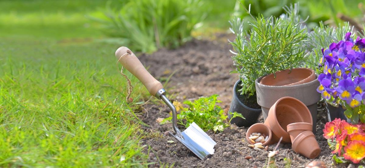 jardinage